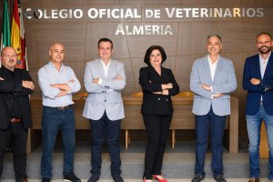 Junta de gobierno. Colegio de Veterinarios de Almería.