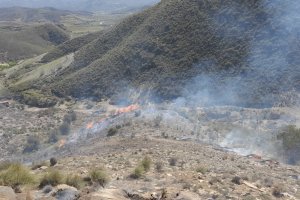 Imagen de la zona afectada por el fuego en Lubrín.