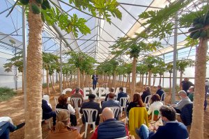 La jornada de análisis se realizó en un invernadero de papaya en Las Palmerillas