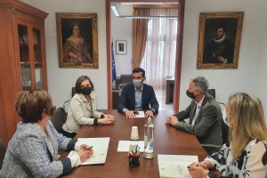 El Ayuntamiento se muestra satisfecho con la gestión ética de los felinos.