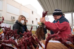 Imagen del reparto de parras en Tíjola el pasado fin de semana.