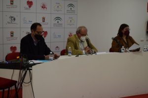 Imagen del Pleno en Vícar.