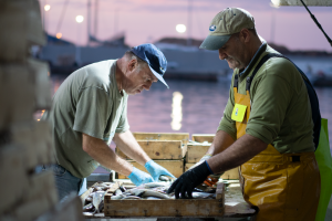 Lonja de Almería OPP-71, apuesta por la materia prima local.
