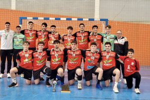 El equipo juvenil del BM Roquetas ha conseguido el ascenso de categoría.