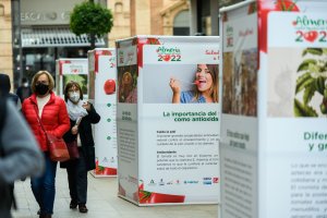 La calle Aguilar de Campoo ha acogido la exposición "Los Cuatro Pilares del Tomate".