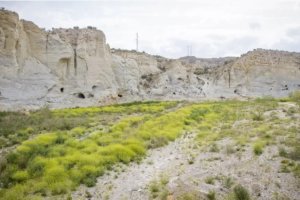 Yacimiento de El Argar en Antas, un patrimonio único en el Levante almeriense.