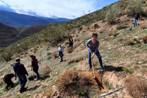 Vecinos plantando árboles en plena Alpujarra almeriense.