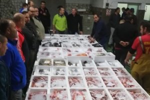 Imagen de la lonja de Adra.