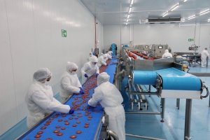 La Unión, planta Long Fresh