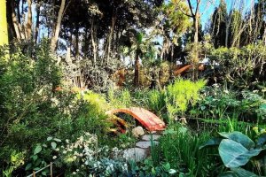 Imagen del jardín botánico La Almunya del Sur. (FOTO: La Almunya del Sur)