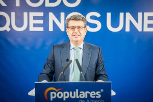 El diputado almeriense del PP, Juan José Matarí.