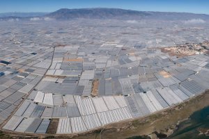 El campo almeriense está obteniendo buenos resultados en lo que va de campaña