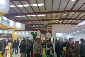 Ambiente de la jornada.