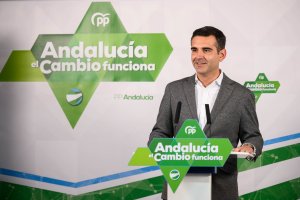 Ramón Fernández-Pacheco, portavoz andaluz, en la sede del PP almeriense.