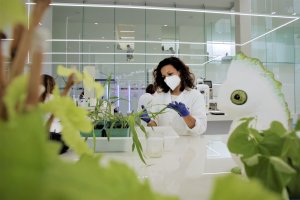 Trabajo de investigación en uno de los laboratorios del MAAVi Innovation Center de Kimitec