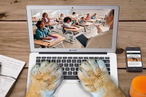 Iniciativa para escolares de Oasys MiniHollywood.