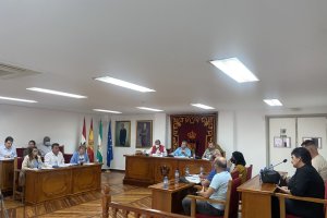 Pleno Ordinario celebrado en el ayuntamiento de Pulpí.