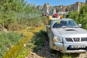 Labores de fumigación en Antas.