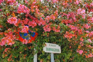 La frondosidad de la vegetación de algunas casas casi cubre las señales.
