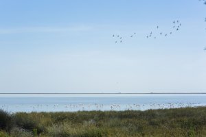 Un parque nacional es una categoría de área protegida que goza de un determinado estatus legal.