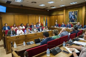 Pleno Ordinario de este viernes en la Diputación Provincial de Almería.