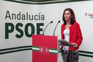 Pilar Navarro, candidata del PSOE de Almería al Parlamento andaluz.