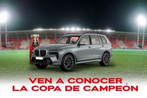 La Copa de campeones la puedes tocar.