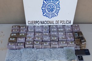 Parte del material intervenido por los agentes.