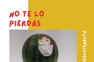 Sandia Mini Bouquet Bio