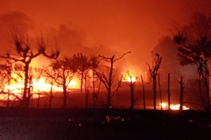 Incendio en el entorno de Valtierra, en Navarra.