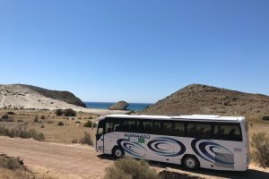 El servicio de autobuses a las playas del parque comenzará el 1 de julio.