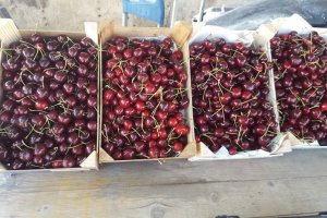Cerezas de Abrucena en un mercado de Viator.