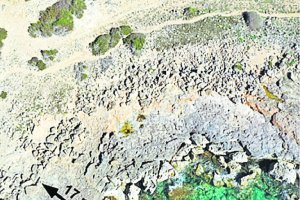 Restos de piedras arrojadas a la costa por un tsunami.