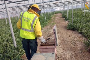 Imagen cedida por la Guardia Civil de Almería.