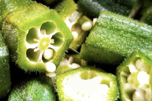 Imagen | Unsplash / Vitónica