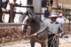 Juan Manuel Castillo, junto al ejemplar de pura raza Terrón Dav.