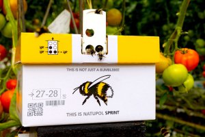 Natupol Sprint® Koppert