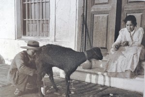 Un lechero de La Jara ordeñando una cabra en la puerta de una casa del Malecón, con la criada atenta, en torno a 1903. Foto de José G. Billón.