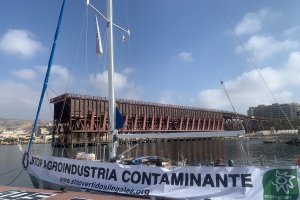Velero Diosa Matt de Ecologistas en Acción en el muelle del Club de Mar.