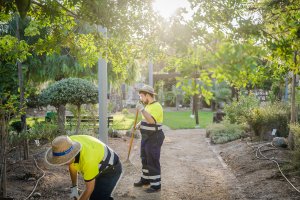 Realizando prácticas en el jardín botánico de Roquetas de Mar.