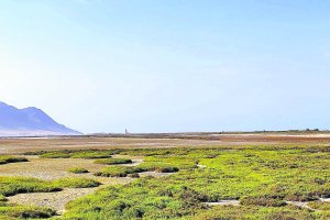 Imagen del estado de las Salinas de Cabo de Gata.