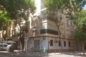 Árboles en la zona de Altamira, en la capital.