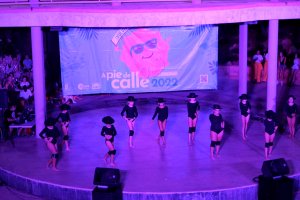 Una de las actuaciones del Carnaval de Verano de Roquetas de Mar.