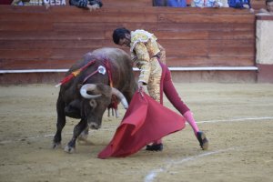 Emilio de Justo, tras varios meses de recuperación, vuelve a enfrentarse a una plaza de toros en Almería.