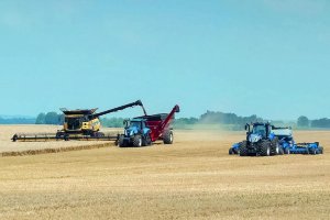 Las tierras que estaban en barbecho se cultivan para paliar los efectos de la guerra