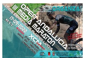 Cartel de la carrera de Laroya.