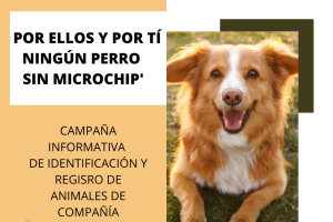 Cartel de la campaña cuevana para informar de la obligatoriedad del chip de identificación de mascotas.