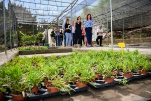 Visita al vivero municipal.