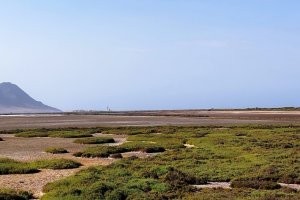 Las Salinas, secas tras la obtrucción en la galería.
