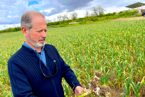 Javier Villegas, Koppert